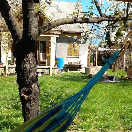 Kisfaludy House