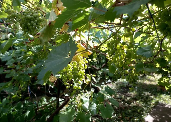 Kisfaludy House Lägenhet